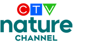 Nature Channel