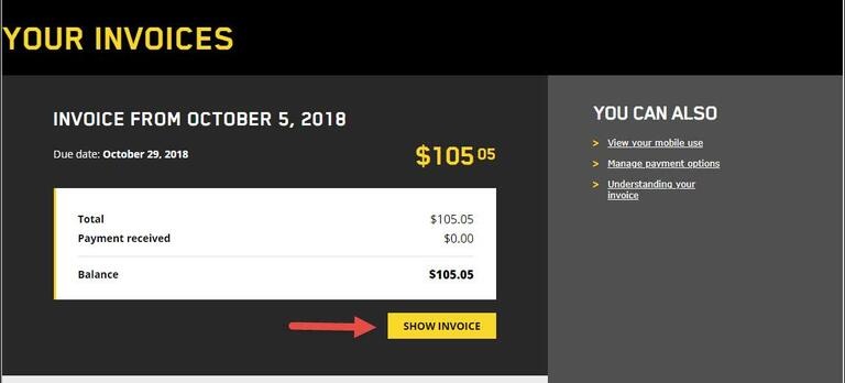 show invoice