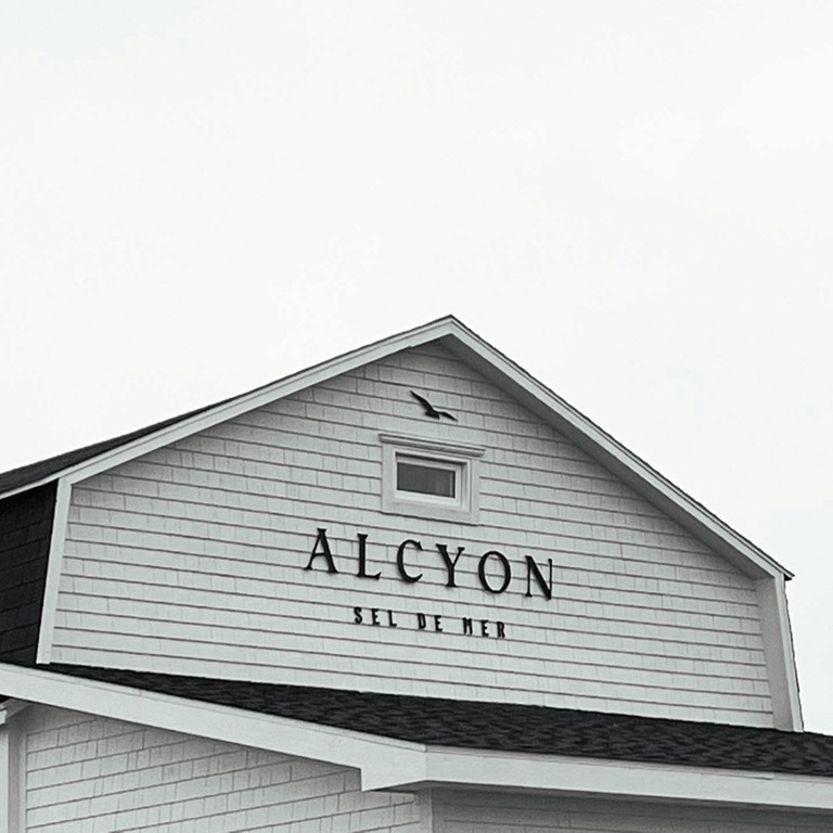 Toit Alcyon sel de mer
