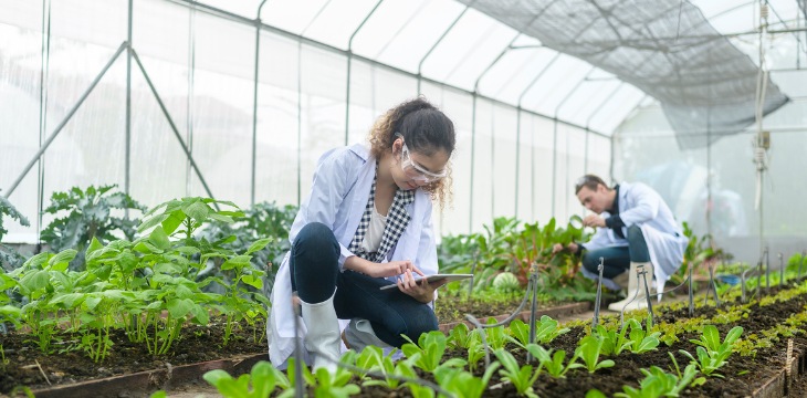 agriculture greenhouse plant