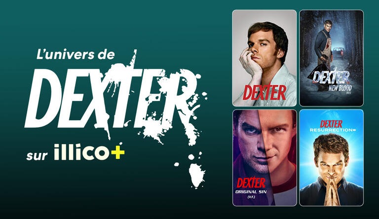 Vcom_Dexter_1072x620