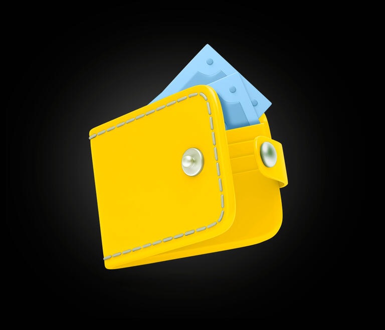 budget porte feuille