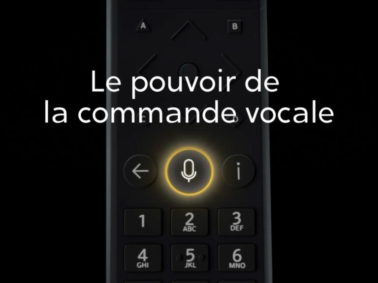 commande vocale