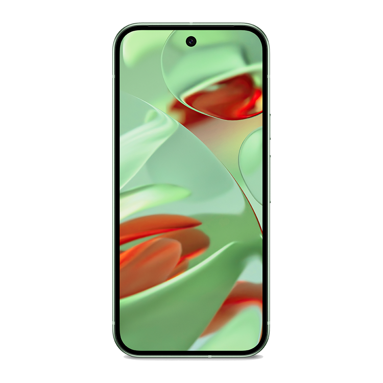 Google pixel 9 Front view Wintergreen