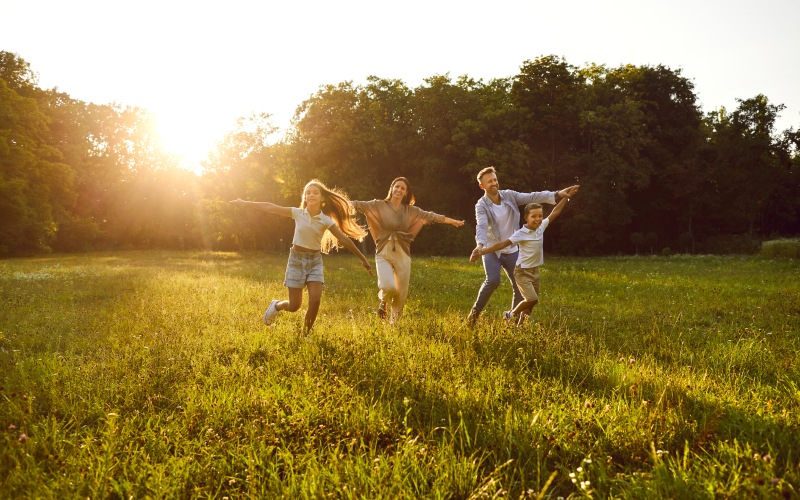 AdobeStock_735355148-800x500.png