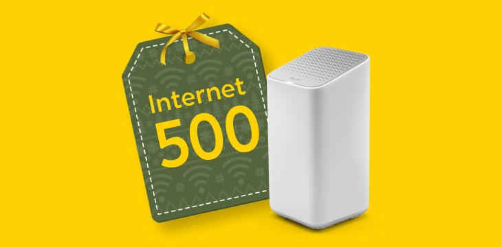 Internet 500 - 730x360