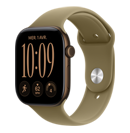 Apple Watch Series 12